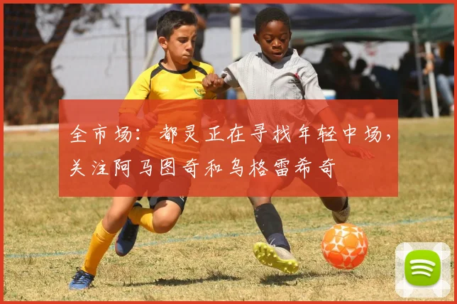 全市场:都灵正在寻找年轻中场,关注阿马图奇和乌格雷希奇