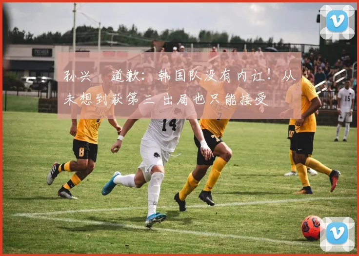 孙兴慜道歉：韩国队没有内讧！从未想到获第三 出局也只能接受