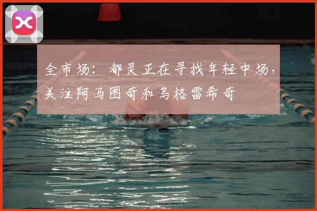 全市场:都灵正在寻找年轻中场,关注阿马图奇和乌格雷希奇