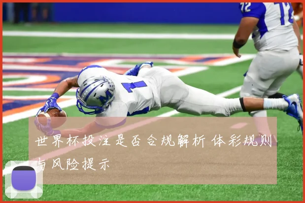 世界杯投注是否合规解析 体彩规则与风险提示
