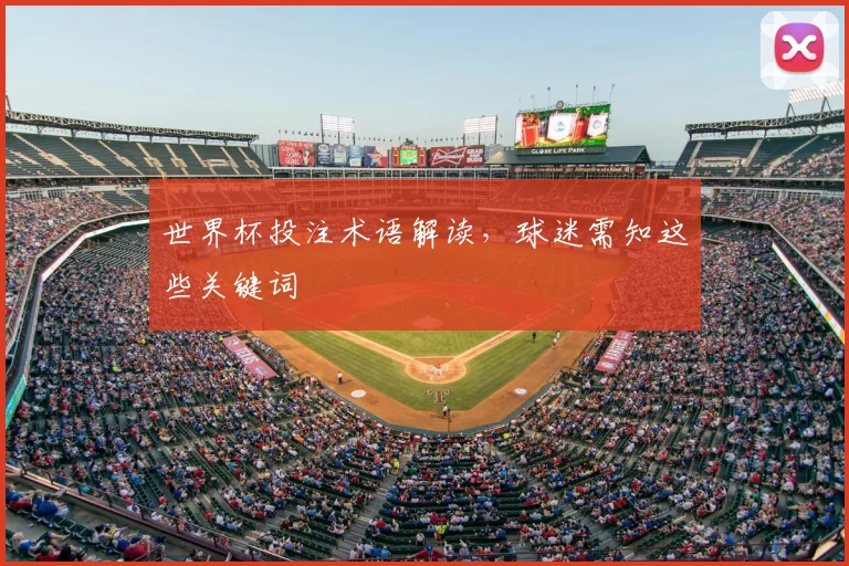 世界杯投注术语解读，球迷需知这些关键词