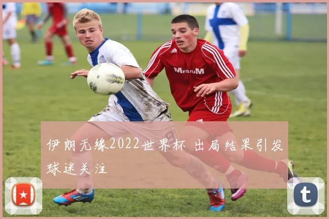 伊朗无缘2022世界杯 出局结果引发球迷关注