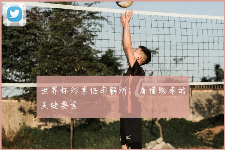世界杯彩票倍率解析：看懂赔率的关键要素