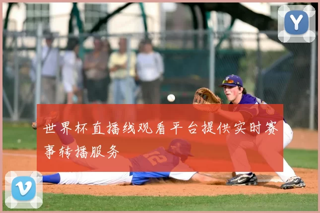 世界杯直播线观看平台提供实时赛事转播服务
